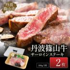 ステーキ サーロイン 2枚入