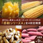農家の感動シリーズA 約9.1kg