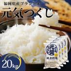 産ブランド米 元気つくし 無洗米 20kg