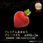 いちご 博多あまおういちご EX 約450g×2P