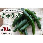 fu.... налог KAYAMORI FARM. огурец итого 10шт.@(5 шт. входит .×2 пакет ) F6U-371 Fukushima префектура стрела дуть блок 
