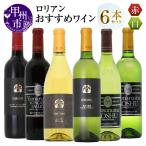 ワイン ロリアン 6本セット MG