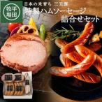 SC0635 特製ハムソーセージ 詰合せセット