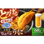 fu.... налог ... сырой ..60g× 1 шт. ( рефрижератор ){.. город }[ большой . предмет производство ] сырой морской еж сырой .... морской еж .. редкий прямая поставка от производителя рефрижератор рассылка 17000 иен 17000 1.. Nagasaki префектура .. город 