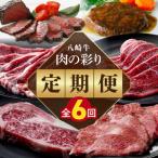 肉の彩り6ヶ月定期便 N0105-YF103