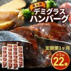 直火焼 デミグラスソース ハンバーグ 22個セット