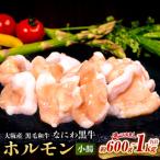 大阪産 和牛 なにわ黒牛 ホルモン 小腸 約200g
