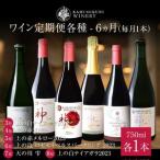 上ノ国ワイナリー ワイン6ヶ月定期便 各種毎月1本 750ml×1本