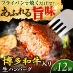 博多和牛入り ハンバーグ 100g×12個