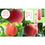 ふるさと納税 【2026年�