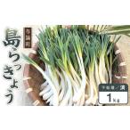 fu.... налог [. мир 8 год 3 месяц примерно отправка ] остров rakkyou 1kg( кожа отделка settled ) Кагосима префектура . теория блок 