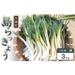 fu.... налог [. мир 8 год 3 месяц примерно отправка ] остров rakkyou 3kg( кожа отделка settled ) Кагосима префектура . теория блок 