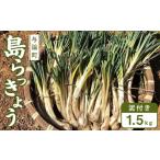 fu.... налог [. мир 8 год 3 месяц примерно отправка ] остров rakkyou 1.5kg( грязь имеется ) Кагосима префектура . теория блок 
