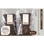 グァテマラ ウエウエテナンゴ SHB 200g