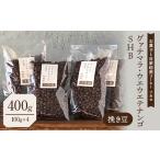 グァテマラ ウエウエテナンゴ SHB 400g