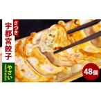 やさい餃子 24個入り×2箱 合計48個