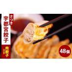 肉餃子 24個入り×1箱 480g