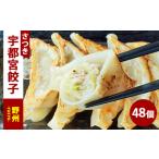 野州餃子 24個入り×2箱 合計48個