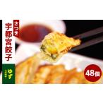 ゆず餃子 24個入り×2箱 合計48個