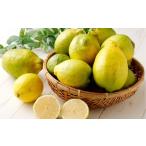 ふるさと納税 【訳あり】晴れの国レモン（家庭用）6.0kg以上 【2026年11月上旬〜12月上旬発送】 減農薬 サイズ不揃い 防腐剤・防カビ剤・ワック.. 岡山県倉敷市