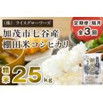 七谷産 棚田米コシヒカリ 精米25kg