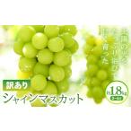 訳あり シャインマスカット 約1.8kg