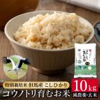 令和7年産 減農薬 白米 特別栽培米 10kg