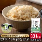 令和7年産 減農薬 玄米 特別栽培米 20kg