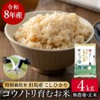 令和7年産 減農薬 玄米 特別栽培米 4kg