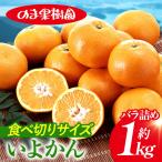 いよかんバラ詰め 1kg