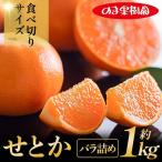 せとか 1kg
