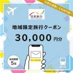 日本旅行 地域 旅行クーポン 300 000円分