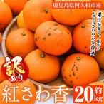 訳あり 紅さわ香 約20kg