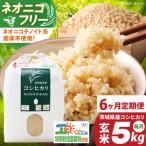 ふるさと納税 【6ヶ月定期便】令和7年産 茨城県特別栽培米コシヒカリ ネオニコフリー玄米5kg｜米 おこめ こしひかり 農家直送 直送 茨城県 阿見.. 茨城県阿見町