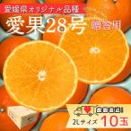 愛果28号 10玉入り