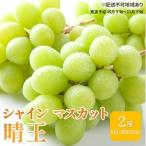 シャインマスカット 晴王