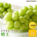 シャインマスカット 晴王 ご