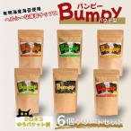 佐賀海苔チップス Bumpy 6個入り