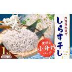 しらす干し 小分け 大津港水揚げ しらす 1kg