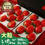 いちご やよいひめ 大粒セット 約800g