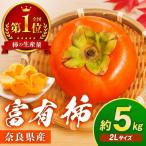厳選 富有柿 約5kg