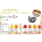 ほせき本舗 大和高原の滴 おまかせジュース5本セット