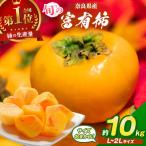 旬の富有柿 サイズおまかせ L~2L 約 10kg