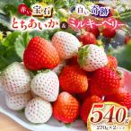 赤い宝石 とちあいか 白い奇跡 ミルキーベリー