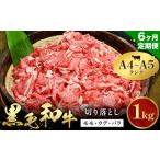 黒毛和牛 牛肉 A5 ロース 切り落とし 500g