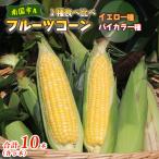 とうもろこし 2種食べ比べ 合計10本