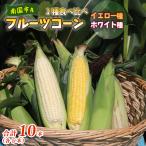 とうもろこし 2種食べ比べ 合計10本