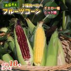 とうもろこし 2種食べ比べ 10本