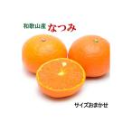 ふるさと納税 【希少柑橘】和歌山
