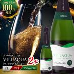 VILLAQUA -グリーン- 750ml×2本
